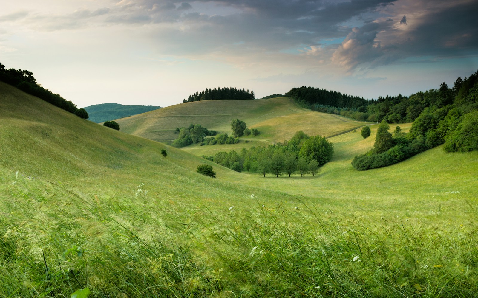green-scene